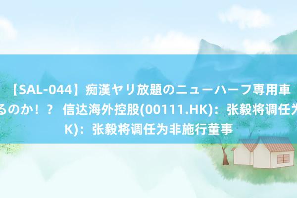 【SAL-044】痴漢ヤリ放題のニューハーフ専用車は本当にあるのか！？ 信达海外控股(00111.HK)：张毅将调任为非施行董事