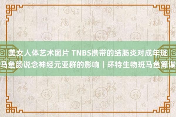 美女人体艺术图片 TNBS携带的结肠炎对成年斑马鱼肠说念神经元亚群的影响｜环特生物斑马鱼筹谋