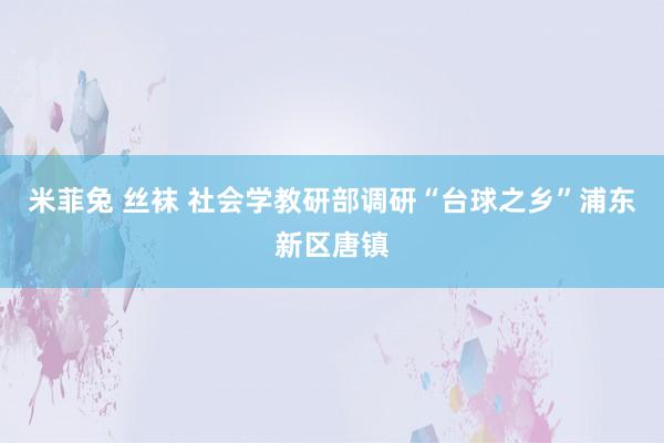 米菲兔 丝袜 社会学教研部调研“台球之乡”浦东新区唐镇